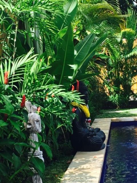 Kayu Bali Hotel Canggu Kültér fotó