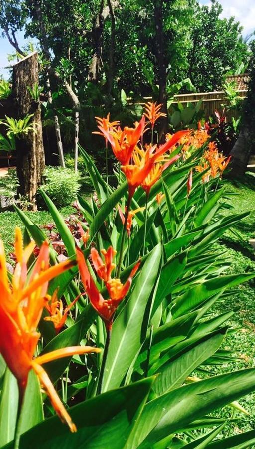 Kayu Bali Hotel Canggu Kültér fotó