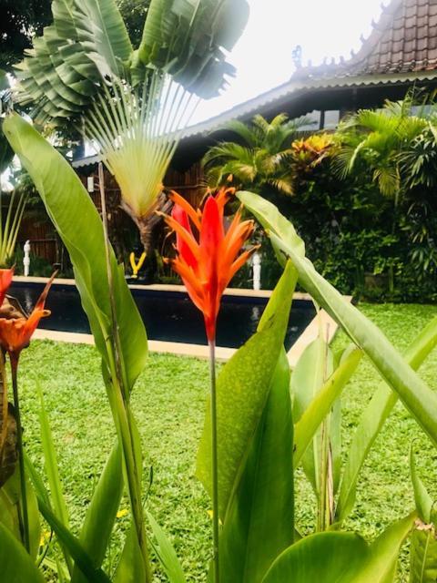 Kayu Bali Hotel Canggu Kültér fotó
